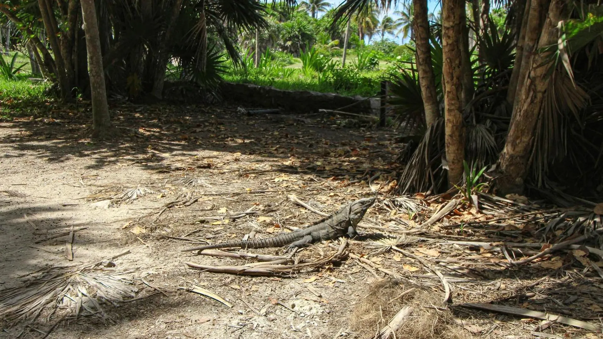 Apartament Anah Hunab 409 Sur Tulum Meksyk